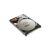 OEM 80 Gb Ide Hdd