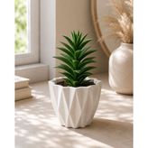 OEM Geometrik Desenli Beyaz Saksı, Masaüstü, Modern Minimalist Stil, Sukulent ve Kaktüs - Belirtilmemiş