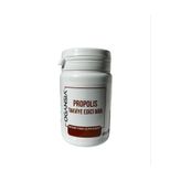 OGANSIA Propolis Tablet