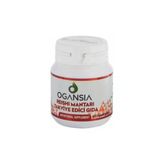 Ogansia Reıshı Mantarı Tablet 3'Lü Set