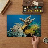 Okyanus - Sualtı Canlıları Tasarımı 240 Parça Ahşap Puzzle Ahşap Kutuda MP02436