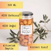 Olivyum 500 ml Yeşil Zeytin