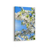 Olla 10486D Ağaç Görseli Dikey 20x30 cm Kanvas Tablo