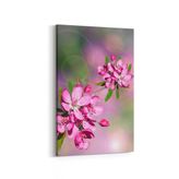 Olla 10607D Ağaç Görseli Dikey 20x30 cm Kanvas Tablo