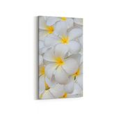 Olla 11633DD Çiçek Görseli Dikey Dar 30x60 cm Kanvas Tablo