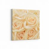Olla 11642K Çiçek Görseli Kare 25x25 cm Kanvas Tablo