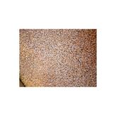 OPTİMA YEM Optima Yetişkin Güvercin Yemi 1000gr