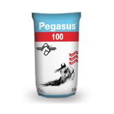 OPTİMA YEM Pegasus 100 25 Kg At Yemi