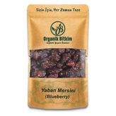 Organik Bitkim 500 gr Yaban Mersini Kurusu