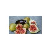 Orika 20 ml İncir Çekirdeği Yağı