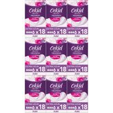 Orkid Discreet Extra Uzun 162 Adet Mesane Pedi