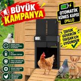 Otomatik Kümes Kapısı Tavuk-güvercin-tavşan Gibi Hayvanlar İçin Uygundur