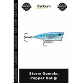 Özel Seri Storm Gomoku Popper Balığı Yüzen Olta Atış