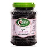 Özgün 2 kg Pet Gemlik Siyah Salamura Zeytin