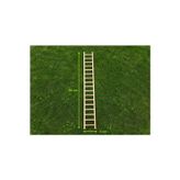 Paks Pet Doğal Ahşap Kuş Merdiveni 80 cm | 19 Basamaklı Kafes Kapısı Asılabilir Tırmanma Merdiveni | Muhabbet Kuşu, Sultan Papağanı, Cennet Papağanı ve Küçük-Orta Boy Kuşlar İçin