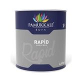 Pamukkale Rapid Turuncu 2.5 kg Boya