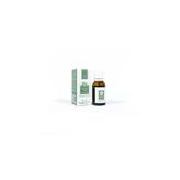 Panlife 15 ml Okaliptus Yağı