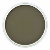 Panpastel No:680.1 Bright Yellow Green Extra Dark Pastel Boya