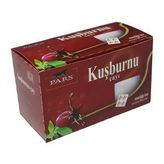 Pars 20'li Kuşburnu Çayı