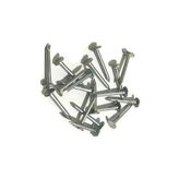 Pars Şıngıl Çivisi 2 cm (100 Gr)