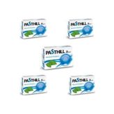 Pasthill Mentol Okaliptus 5x24 Pastil