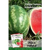 Patika Botanik 100 Adet Alaca Karpuz Tohumu