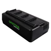 Patona 1688 / 1694 Plate Bp-A60 Battery