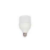 Pazariz 20 Watt Torch Led Ampul