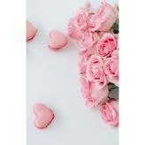Pembe Gül ve Makaron Kanvas Tablo