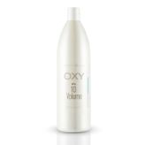Perfect Shine 1000 ml 10 Volume Krem Oksidant