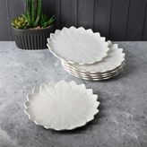 Perotti 12196 Marghe 20 cm 6lı Pasta Tabağı