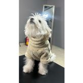 Peti Tailor Küçük ve Orta Irk Boğazlı Bej Sweatshirt WELLSOFT