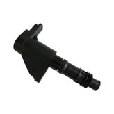 Peugeot 607 3.0 V6 24V 2000-2004 Delphi Ateşleme Bobini