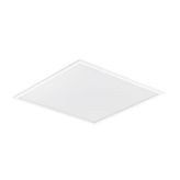 Philips 919933002501 RC048B Led Panel 60x60 36W/865 6500K
