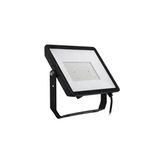 Philips 919933007401 150W Beyaz Essential Led Projektör
