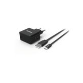 Philips DLP2502M Micro USB Seyahat Şarj Cihazı