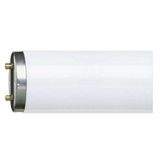 Philips Master TL-D Snow White 18 W Floresan Ampul