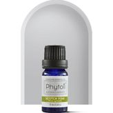 Phytoil 10 ml Sarıçam Uçucu Yağı