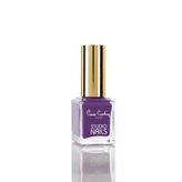 Pierre Cardin 040 Studio Nails Oje