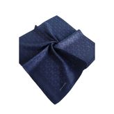 Pierre Cardin ELEGANS EŞARP 1090750-921