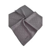 Pierre Cardin ELEGANS EŞARP 1090750-971