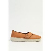 Pierre Cardin Taba Kadın Babet PC-55716