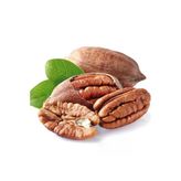 Pikan Ceviz Fidanı ( 70-100 Cm)