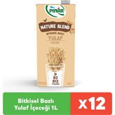 Pınar 1 lt Nature Blend Yulaf Sütü