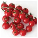 Pinpon Domates Tohumu 25 Adet