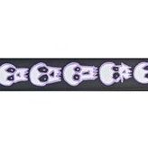 PlanetWaves 50JS07 Dokuma Joe Satriani Skulls Gitar Askısı
