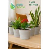 Plant Home Power Mix 1,8 Litre Tabaksız Kırılmaz Plastik Saksı – 5 Adet Set | Modern - Ev & Salon Bitkileri Için