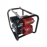 Plant Mate Wp20 Benzinli Su Motoru 2