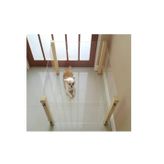 Pleksi Ahşap Köpek Çiti