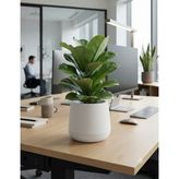 Poliva Home Atlas Saksı 4 Litre Dekoratif Çiçek Saksısı 27 cm Modern Saksı Iç ve Dış Mekan Bitki Saksısı - Beyaz